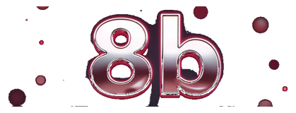 8 b logo